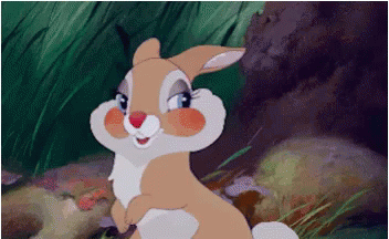 Bambi Thumber GIF - Bambi Thumber Rabbit GIFs