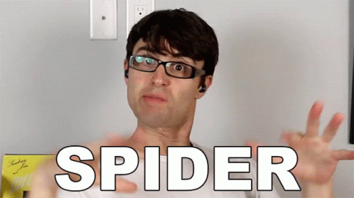 Spider Steve Terreberry GIF - Spider Steve Terreberry Theres A Spider GIFs