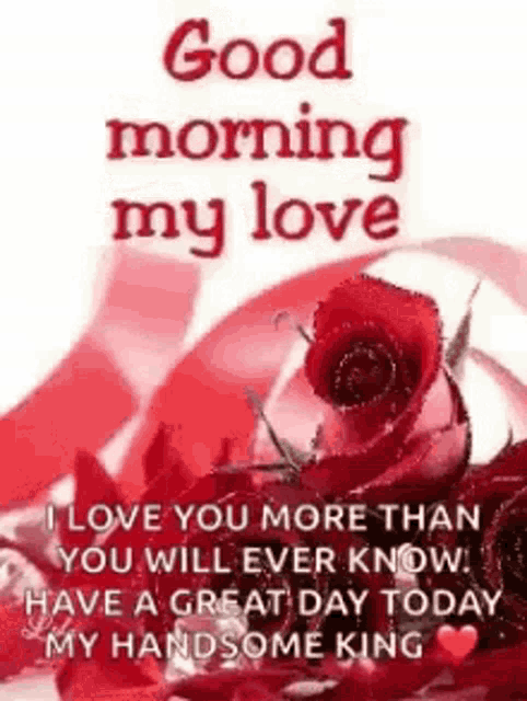 good morning my love i love you more than you will ever know have a great day today my handsome king .