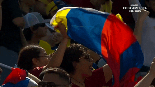 a crowd of people watching a soccer game with the words copa america usa 2014 on the bottom