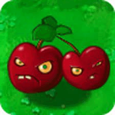 Cherry Bomb Pvz GIF - Cherry Bomb Pvz Plants Vs Zombies GIFs