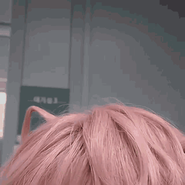 a close up of a person wearing pink hair and cat ears .