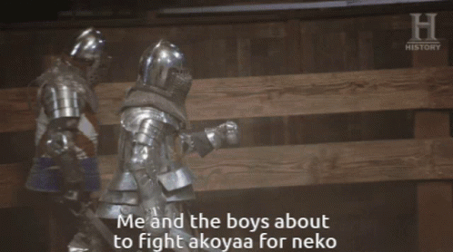 Neko Knight GIF - Neko Knight Fight GIFs