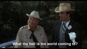 Bandit Beuford GIF - Bandit Beuford Whats Happening GIFs