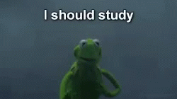 Meme Kermit GIF - Meme Kermit I Should Study GIFs