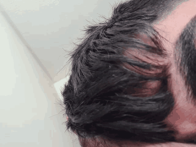 a close up of a man 's head with a beard