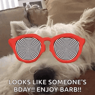 a white dog wearing a pair of red sunglasses with a spiral in the lenses .