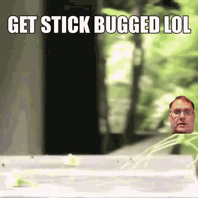 Get Stick Bugged GIF - Get Stick Bugged GIFs