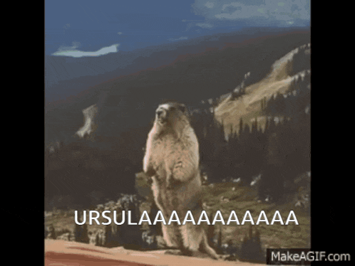 a ground squirrel standing on its hind legs with the words ursula written in the corner