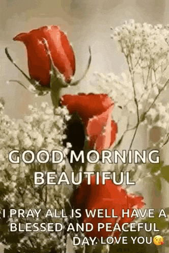a good morning beautiful i pray all is well have a blessed and peaceful day love you .
