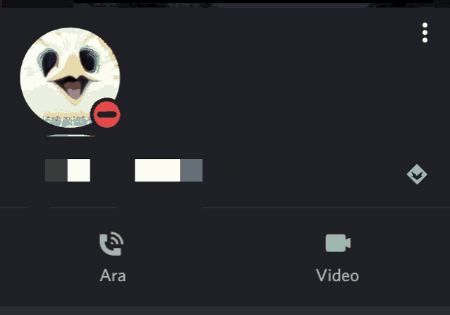 a screenshot of a person 's profile with the name ara on it