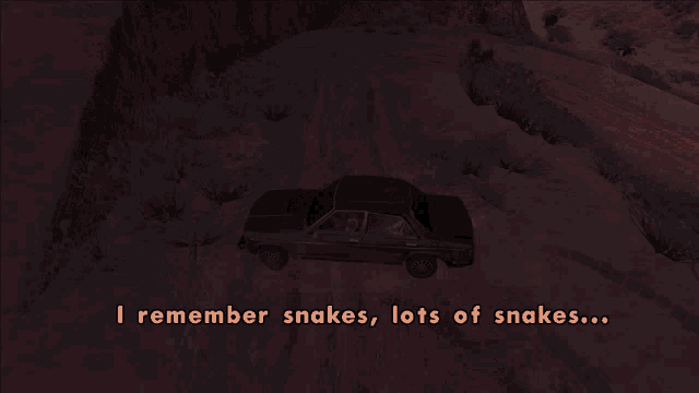 a screenshot of a video game that says " i remember snakes lots of snakes "