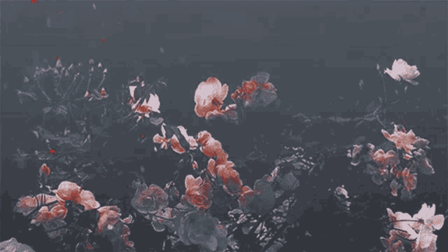 a bunch of flowers are floating in the dark