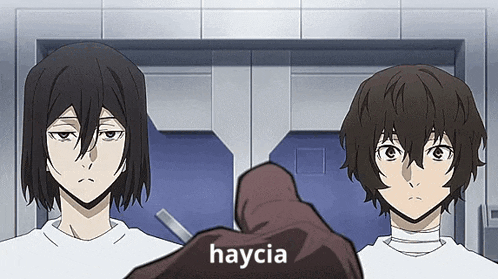 two anime characters are standing next to each other and a hand is pointing at one of them with the word haycia written on it .