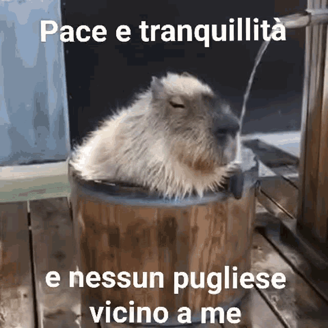 a capybara is sitting in a wooden barrel with water pouring out of it .