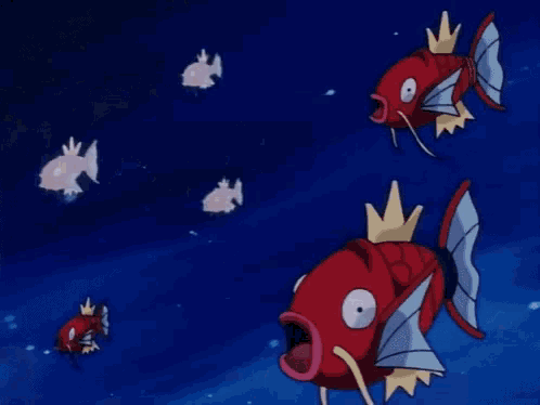 a group of white fish are swimming in a dark blue water .