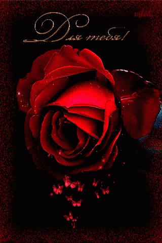 Rose Red Rose GIF - Rose Red Rose Butterfly GIFs
