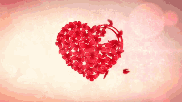 a heart made of red flowers and leaves