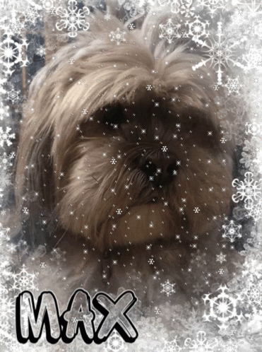 Let It Snow Max GIF - Let It Snow Max Puppy GIFs