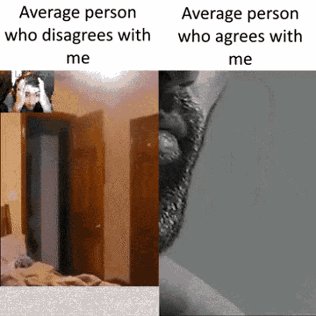Average Person Who Agrees With Me Average Person Who Disagrees With Me GIF - Average Person Who Agrees With Me Average Person Who Disagrees With Me Average Person GIFs