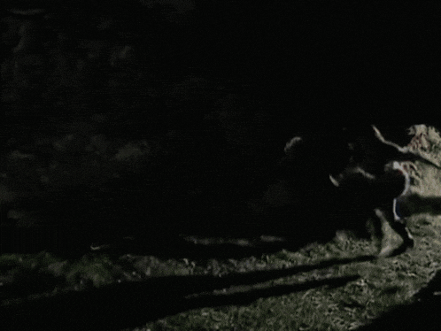a shadow of a person is cast on the grass in the dark