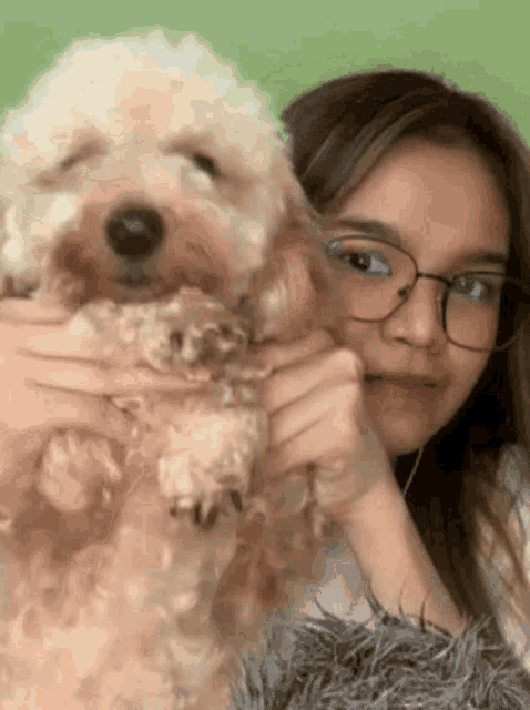 a girl wearing glasses holds a small brown dog