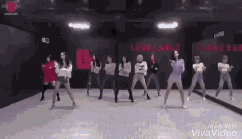 a group of women are dancing together in a dance studio .