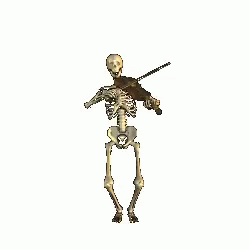 Skeleton Bones GIF - Skeleton Bones Violin GIFs