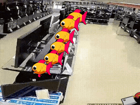 a bunch of fish are swimming in a row in a store with the letters ac on the bottom