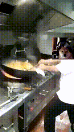 a person is cooking food in a kitchen with a dog behind them