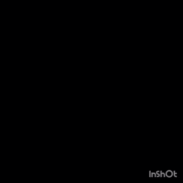a white circle on a black background with the word inshot on the bottom
