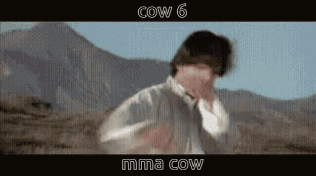 Cow 6cow GIF - Cow 6cow Cow6 GIFs