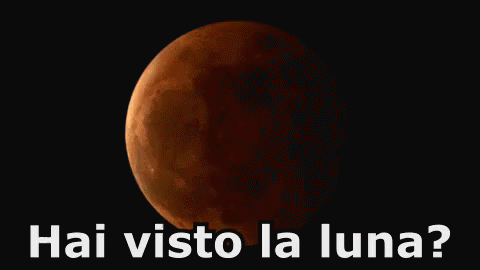 Eclisse Eclissi Luna Rossa Fase Lunare Cielo Notte GIF - Eclipse Moon Red GIFs