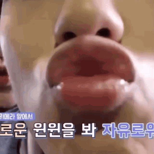 a close up of a person 's mouth with foreign writing in the corner
