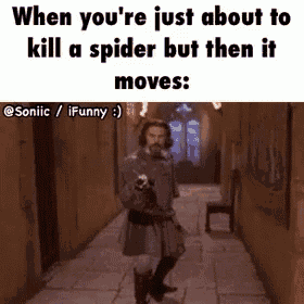when you 're just about to kill a spider but then it moves : sonic / ifunny