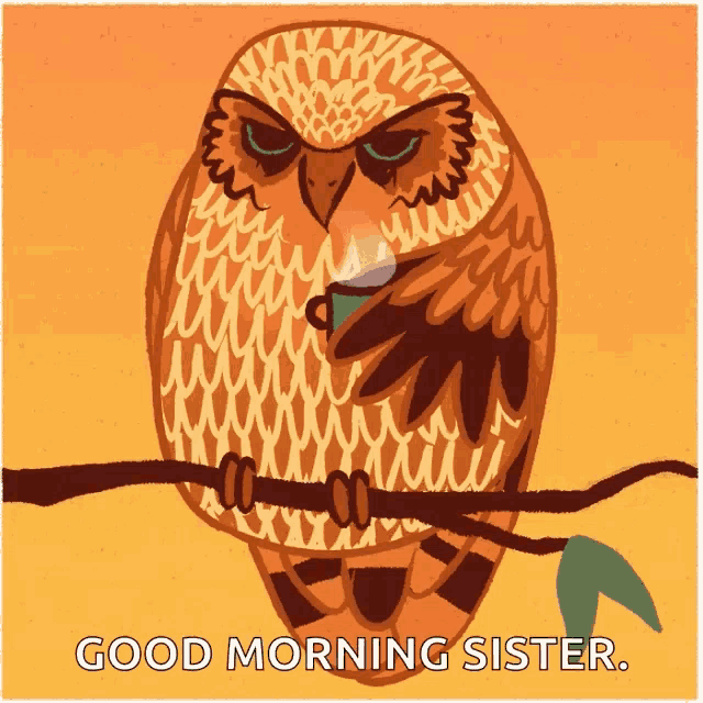 an owl is sitting on a branch with a cup of coffee in its beak