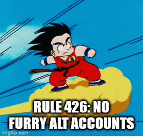 Rule Rules GIF - Rule Rules Rule426 GIFs