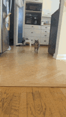 a cat standing on its hind legs in front of a refrigerator in a kitchen