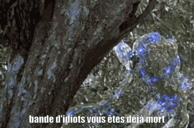 a tree with the words bande d' idiots vous etes deja mort