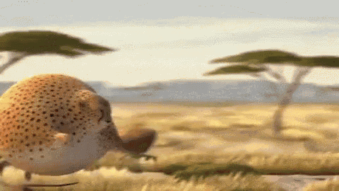 Animal Bounce GIF - Animal Bounce Cheetah GIFs