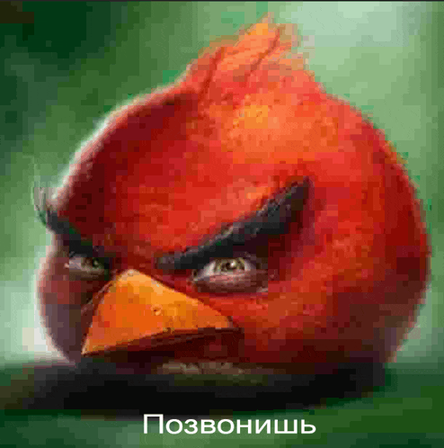 a red angry bird with a yellow beak is sitting on a green branch .