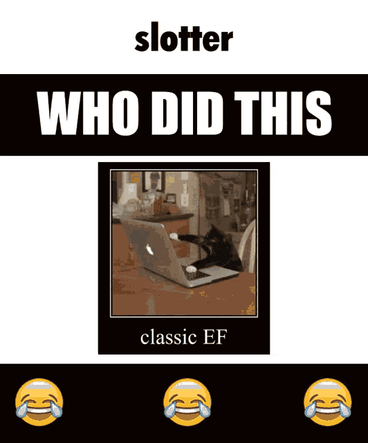a picture of a cat sitting in front of a laptop with the caption " who did this classic ef "