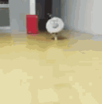 a cat is wearing a cone on its head and walking on a yellow floor .