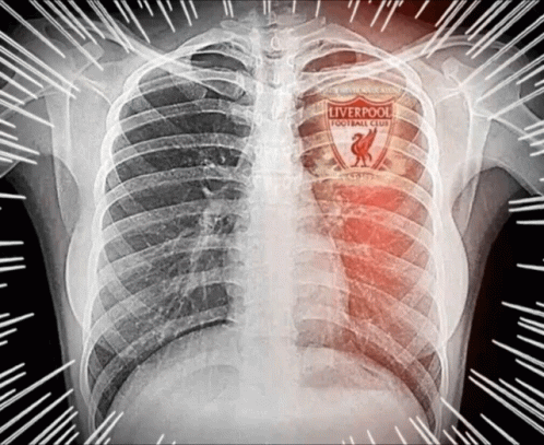 Liverpool Heart GIF - Liverpool Heart GIFs