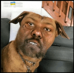a dog with a beard and a chain around its neck