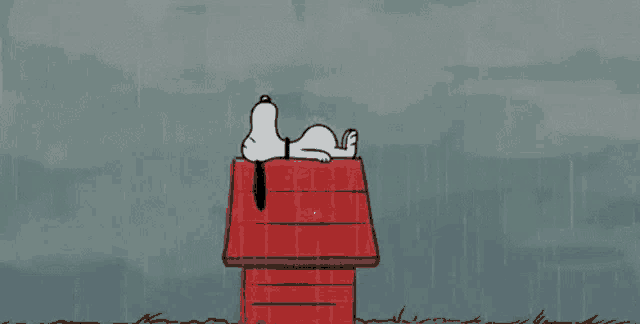 snoopy is laying in a red house in the rain .