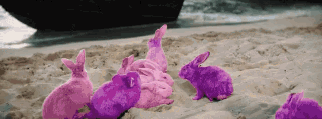 a group of pink rabbits are sitting on a beach
