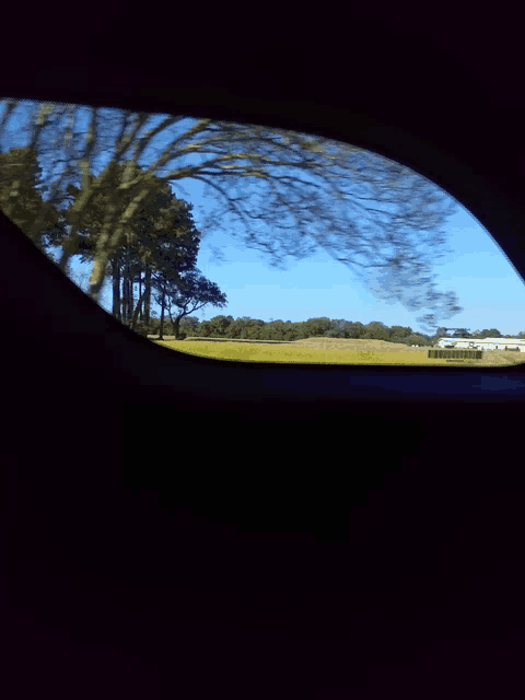 a view of a field through a car window with trees in the background
