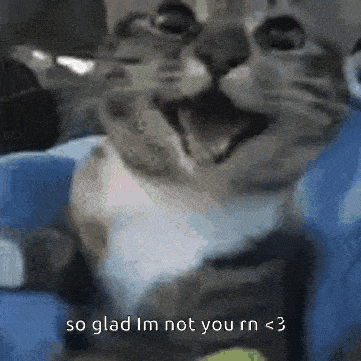 So Glad I'M Not You Happy Cat GIF - So Glad I'M Not You Happy Cat Cat GIFs