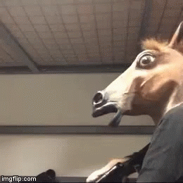 Horsehead Reloading GIF - Horsehead Reloading Ammofromthemouth GIFs